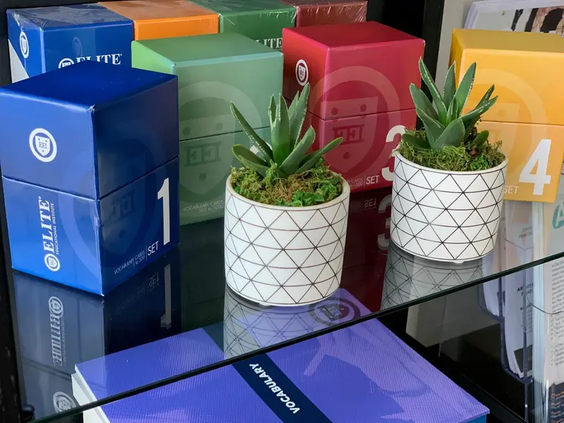 Colorful Elite vocabulary card boxes numbered 1 through 4 on a glass shelf beside two potted succulents.
