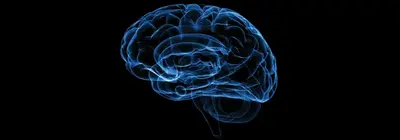 A glowing blue X-ray-style illustration of a human brain in profile on a black background