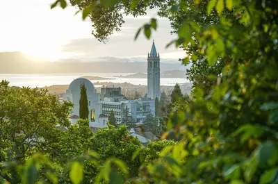 A campus bell tower rising above trees and buildings, with a bay and hills in the distance at sunset