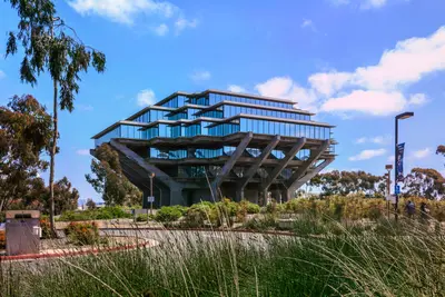 The Geisel Library's concrete and glass tiered structure rising above trees and grasses under a blue sky