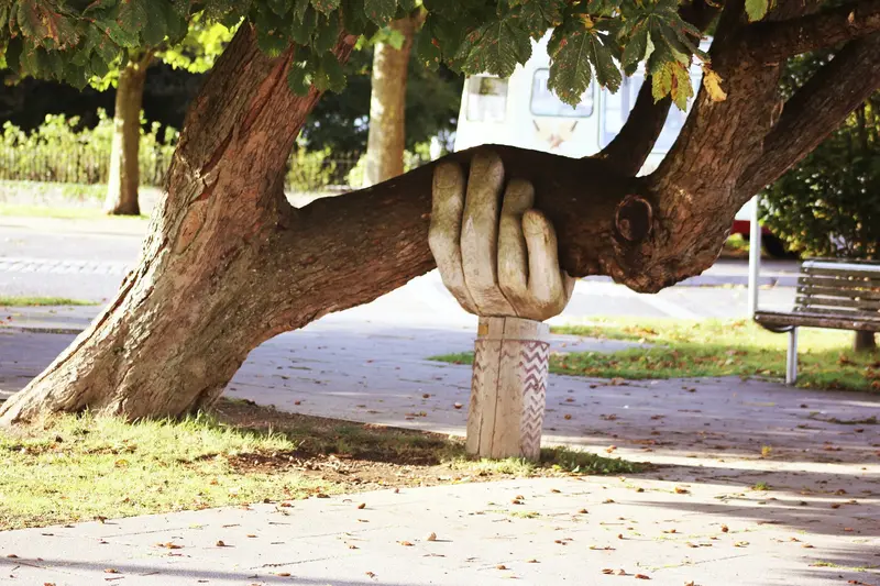 A carved wooden hand sculpture propping up the leaning trunk of a large tree in a park