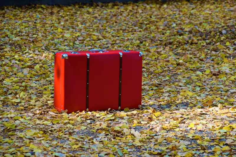 A red suitcase standing alone on ground covered with yellow autumn leaves
